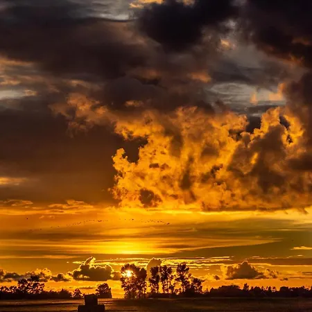 Eiscafe&pension Schumann 게스트하우스