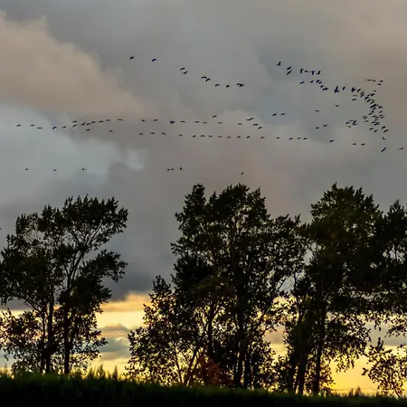 Eiscafe&pension Schumann 게스트하우스 브레세위츠